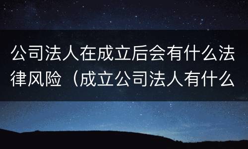 公司法人在成立后会有什么法律风险（成立公司法人有什么责任）