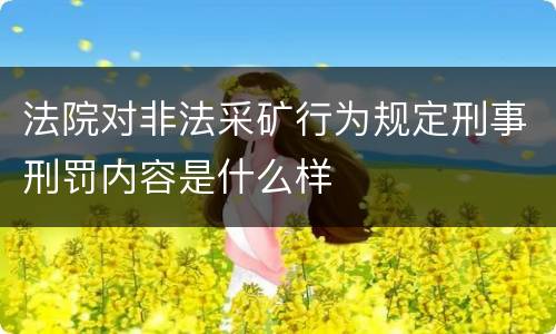 法院对非法采矿行为规定刑事刑罚内容是什么样