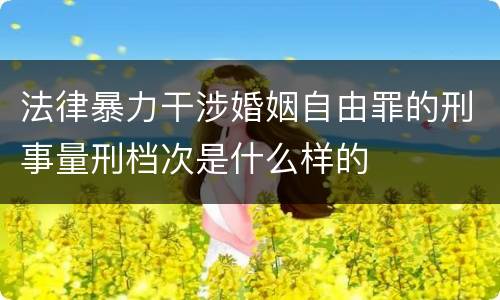 法律暴力干涉婚姻自由罪的刑事量刑档次是什么样的