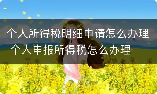 个人所得税明细申请怎么办理 个人申报所得税怎么办理