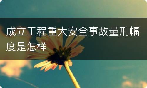 成立工程重大安全事故量刑幅度是怎样