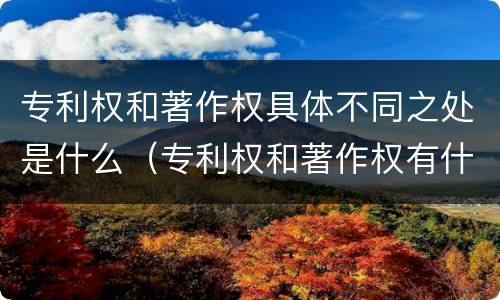 专利权和著作权具体不同之处是什么（专利权和著作权有什么区别）