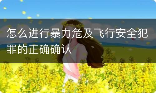 怎么进行暴力危及飞行安全犯罪的正确确认