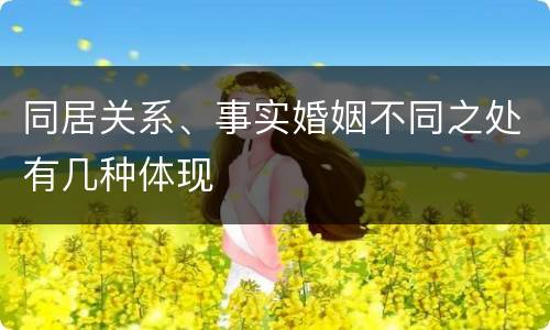 同居关系、事实婚姻不同之处有几种体现