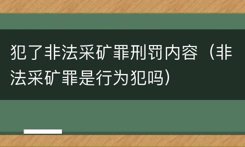 犯了非法采矿罪刑罚内容（非法采矿罪是行为犯吗）