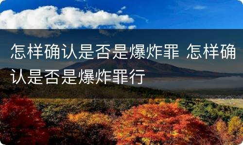 怎样确认是否是爆炸罪 怎样确认是否是爆炸罪行