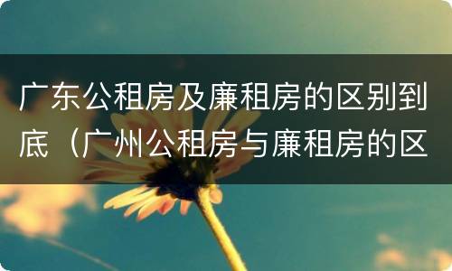 广东公租房及廉租房的区别到底（广州公租房与廉租房的区别）
