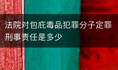 法院对包庇毒品犯罪分子定罪刑事责任是多少