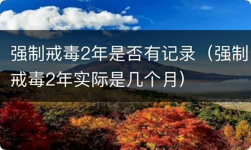 强制戒毒2年是否有记录（强制戒毒2年实际是几个月）