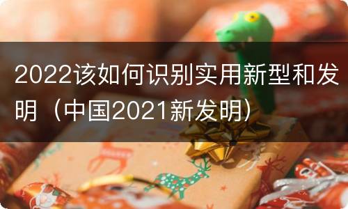 2022该如何识别实用新型和发明（中国2021新发明）