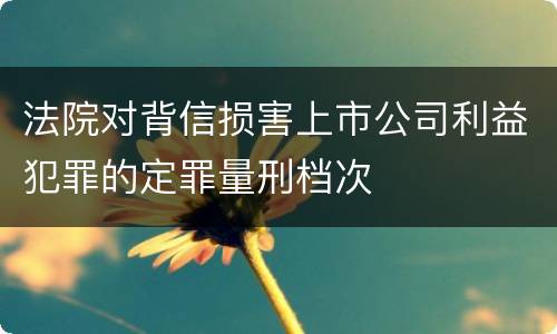 法院对背信损害上市公司利益犯罪的定罪量刑档次