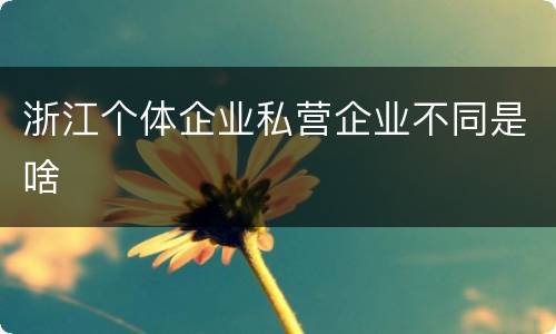 浙江个体企业私营企业不同是啥