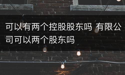 可以有两个控股股东吗 有限公司可以两个股东吗