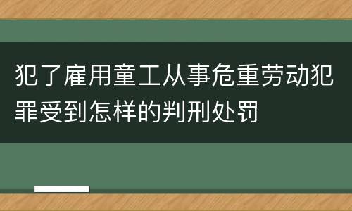 犯了雇用童工从事危重劳动犯罪受到怎样的判刑处罚