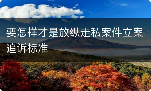 要怎样才是放纵走私案件立案追诉标准