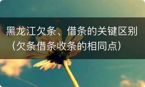 黑龙江欠条、借条的关键区别（欠条借条收条的相同点）