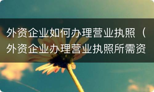 外资企业如何办理营业执照（外资企业办理营业执照所需资料）