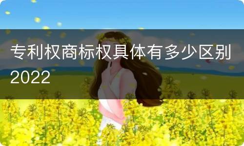 专利权商标权具体有多少区别2022