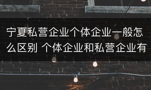 宁夏私营企业个体企业一般怎么区别 个体企业和私营企业有哪些