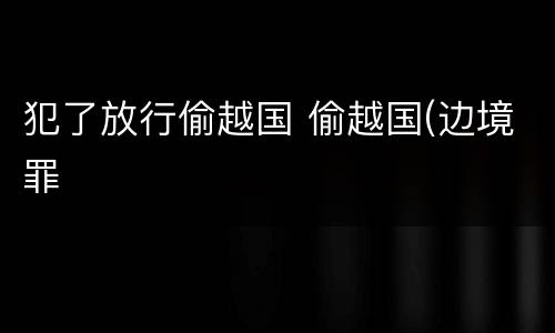 犯了放行偷越国 偷越国(边境罪