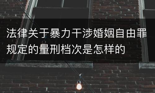 法律关于暴力干涉婚姻自由罪规定的量刑档次是怎样的