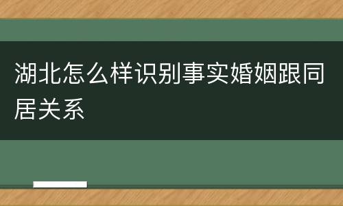 湖北怎么样识别事实婚姻跟同居关系
