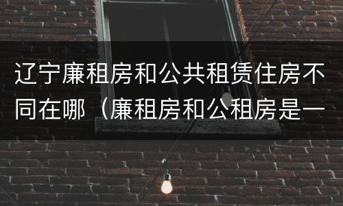 辽宁廉租房和公共租赁住房不同在哪（廉租房和公租房是一样的吗）
