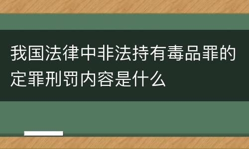 我国法律中非法持有毒品罪的定罪刑罚内容是什么