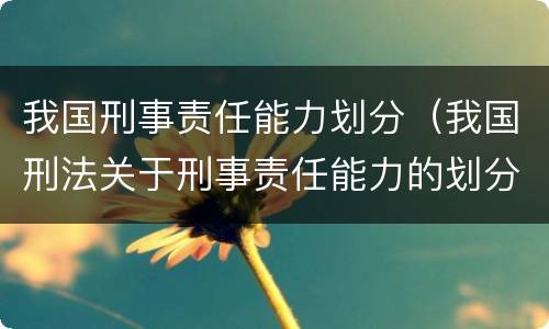 我国刑事责任能力划分（我国刑法关于刑事责任能力的划分）