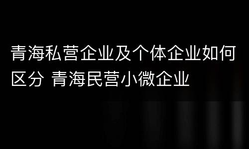 青海私营企业及个体企业如何区分 青海民营小微企业
