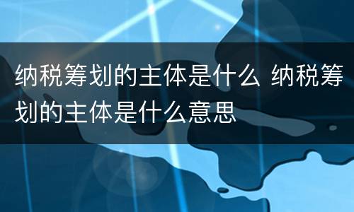 纳税筹划的主体是什么 纳税筹划的主体是什么意思