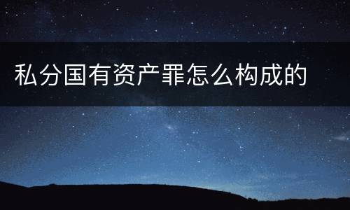 私分国有资产罪怎么构成的