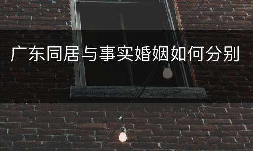 广东同居与事实婚姻如何分别