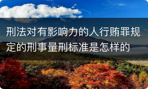 刑法对有影响力的人行贿罪规定的刑事量刑标准是怎样的