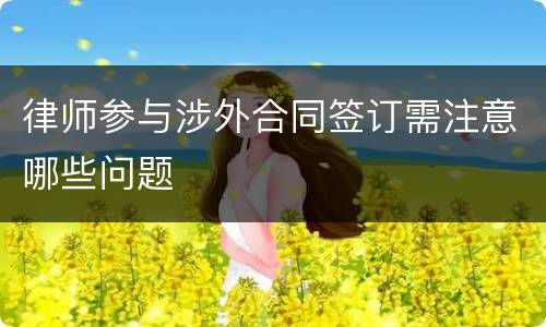 律师参与涉外合同签订需注意哪些问题