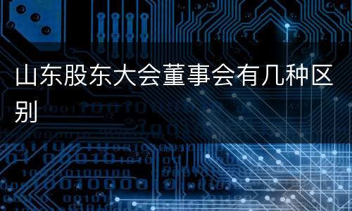 山东股东大会董事会有几种区别