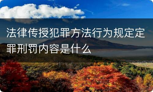 法律传授犯罪方法行为规定定罪刑罚内容是什么