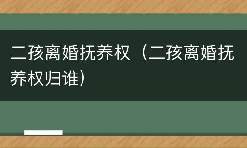 二孩离婚抚养权（二孩离婚抚养权归谁）