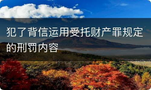 犯了背信运用受托财产罪规定的刑罚内容