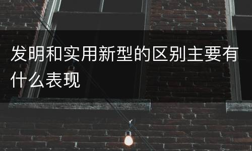 发明和实用新型的区别主要有什么表现