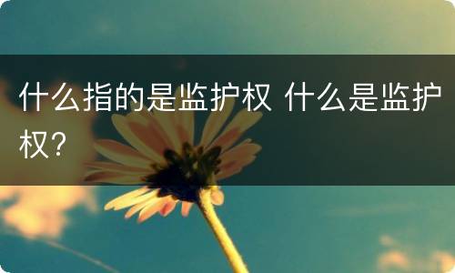 什么指的是监护权 什么是监护权?