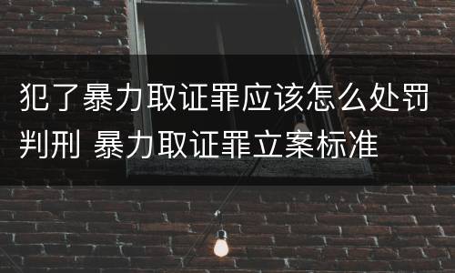 犯了暴力取证罪应该怎么处罚判刑 暴力取证罪立案标准