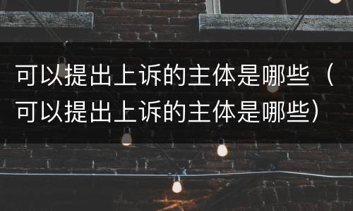 可以提出上诉的主体是哪些（可以提出上诉的主体是哪些）