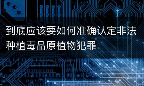 到底应该要如何准确认定非法种植毒品原植物犯罪