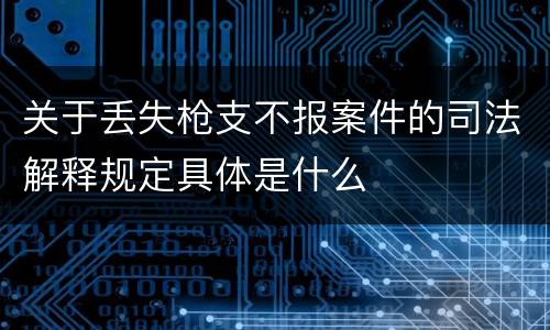 关于丢失枪支不报案件的司法解释规定具体是什么
