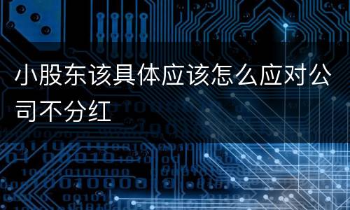 小股东该具体应该怎么应对公司不分红