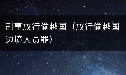 刑事放行偷越国（放行偷越国边境人员罪）