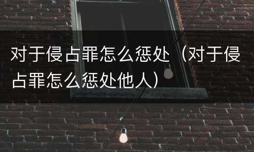对于侵占罪怎么惩处（对于侵占罪怎么惩处他人）