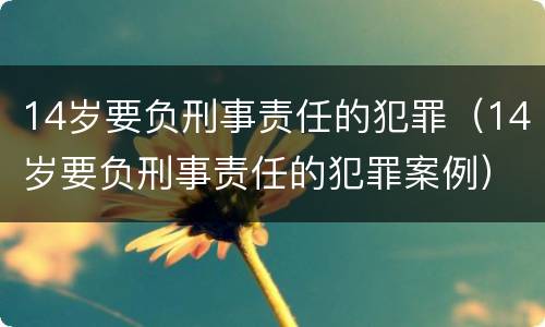14岁要负刑事责任的犯罪（14岁要负刑事责任的犯罪案例）