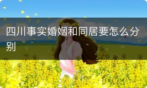 四川事实婚姻和同居要怎么分别